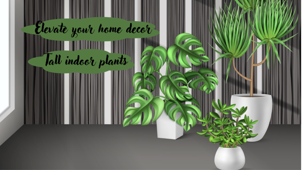 Stylish tall indoor plants enhancing home decor
