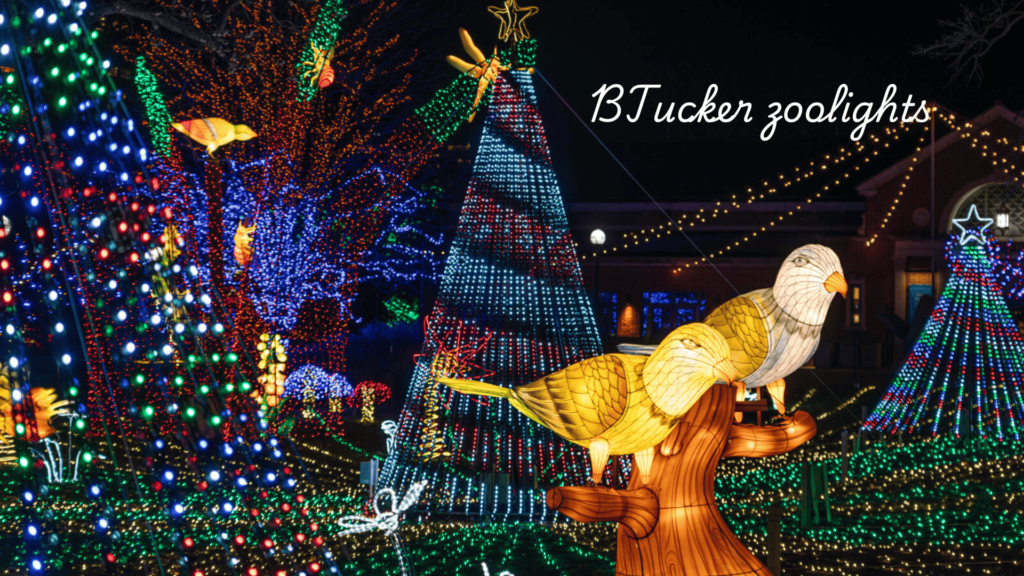 BTucker zoolights ZooLights on Christmas